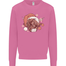 Funny Christmas Highland Cow Santa Hat Mens Sweatshirt Jumper Azalea