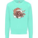 Funny Christmas Highland Cow Santa Hat Mens Sweatshirt Jumper Peppermint