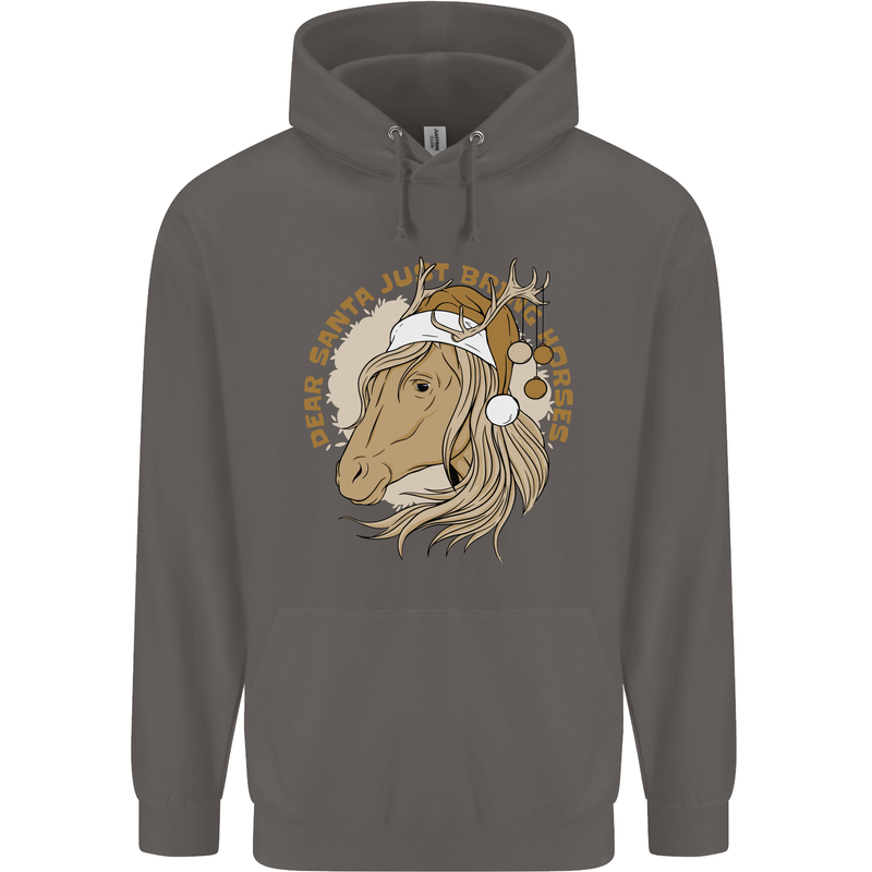 Funny Christmas Horse Equestrian Santa Mens 80% Cotton Hoodie Charcoal