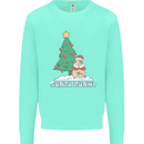 Funny Christmas Santa Bunny Mens Sweatshirt Jumper Peppermint