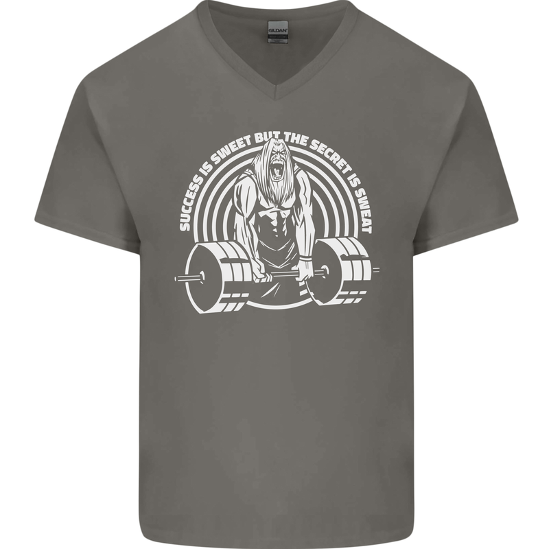 Funny Gym Quote Bodybuilding Training Mens V-Neck Cotton T-Shirt Charcoal