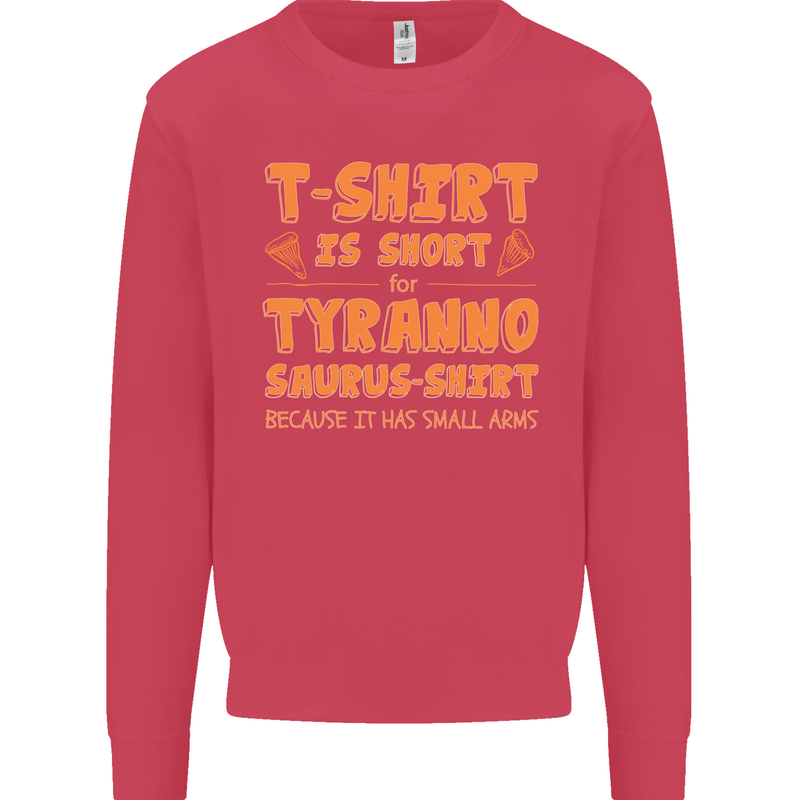 Funny T-Rex Dinosaur Kids Sweatshirt Jumper Heliconia