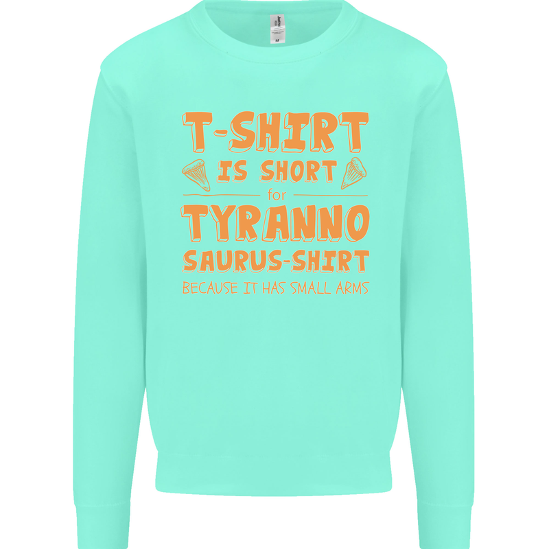 Funny T-Rex Dinosaur Kids Sweatshirt Jumper Peppermint