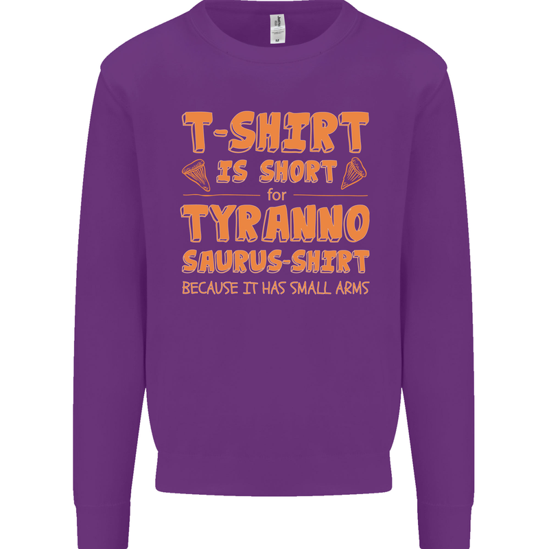 Funny T-Rex Dinosaur Kids Sweatshirt Jumper Purple