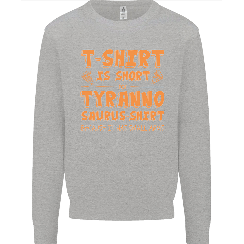 Funny T-Rex Dinosaur Kids Sweatshirt Jumper Sports Grey