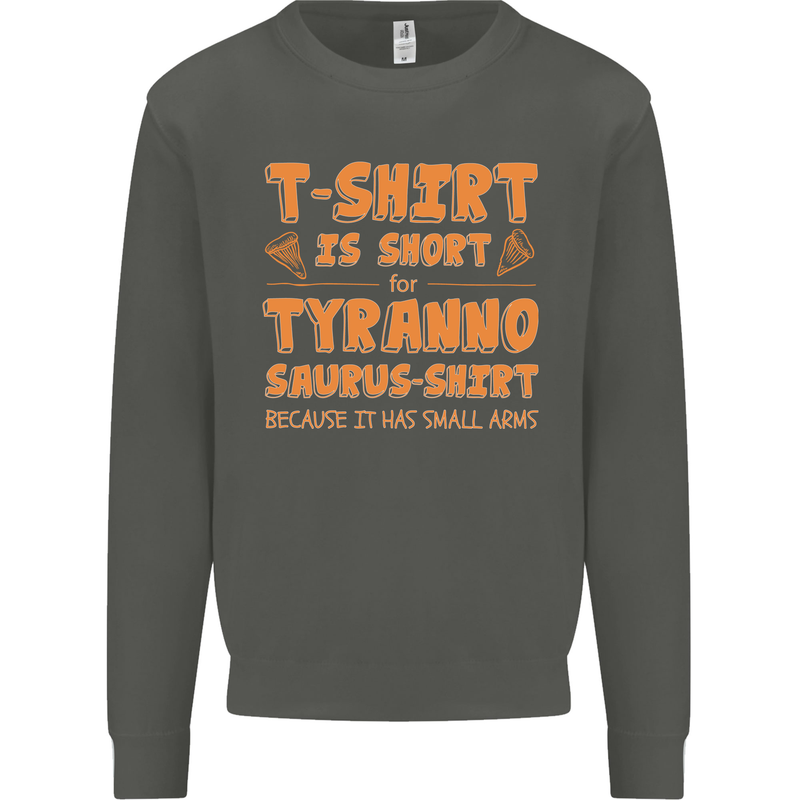 Funny T-Rex Dinosaur Kids Sweatshirt Jumper Storm Grey