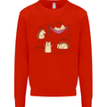 Funny, Hedgehog Eat Sleep Repeat Lover Kids Sweatshirt Jumper Bright Red