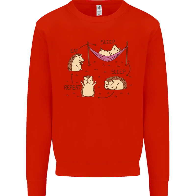 Funny, Hedgehog Eat Sleep Repeat Lover Kids Sweatshirt Jumper Bright Red
