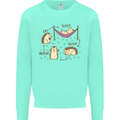 Funny, Hedgehog Eat Sleep Repeat Lover Kids Sweatshirt Jumper Peppermint