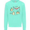 Funny, Hedgehog Eat Sleep Repeat Lover Kids Sweatshirt Jumper Peppermint