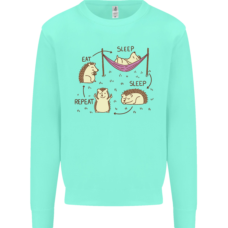 Funny, Hedgehog Eat Sleep Repeat Lover Kids Sweatshirt Jumper Peppermint