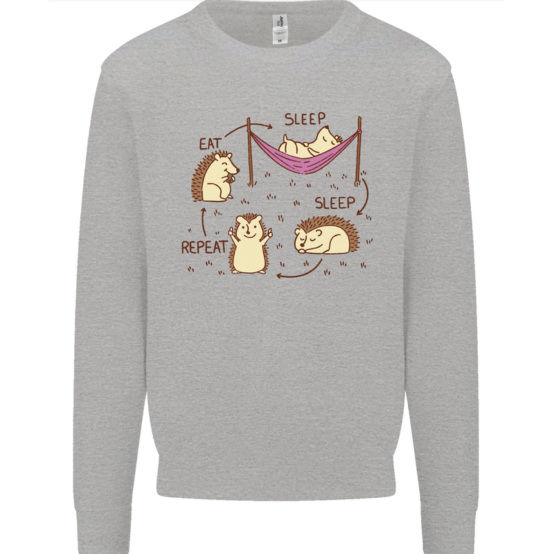Funny, Hedgehog Eat Sleep Repeat Lover Kids Sweatshirt Jumper Sports Grey