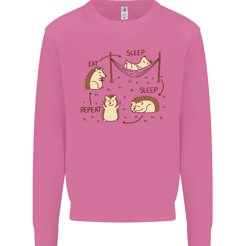 Funny, Hedgehog Eat Sleep Repeat Lover Mens Sweatshirt Jumper Azalea