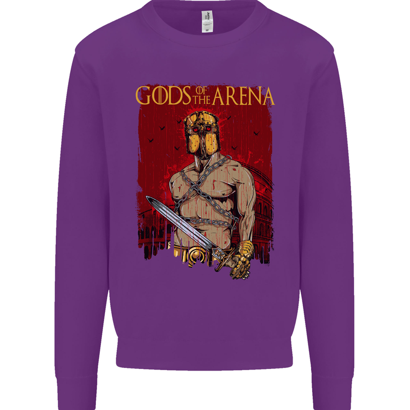 Gods of the Arena MMA Martial Arts Gym Mens Sweatshirt Jumper Purple