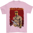 Gods of the Arena MMA Martial Arts Gym Mens T-Shirt Cotton Gildan Light Pink