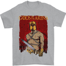 Gods of the Arena MMA Martial Arts Gym Mens T-Shirt Cotton Gildan Sports Grey