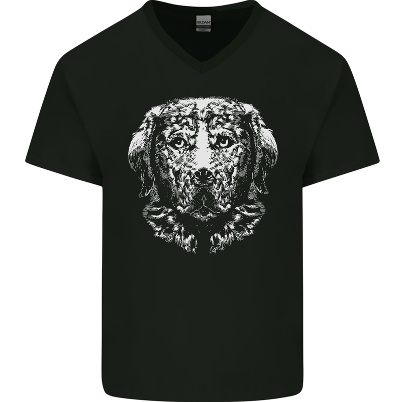 Golden Retiever Dog Mens V-Neck Cotton T-Shirt Black