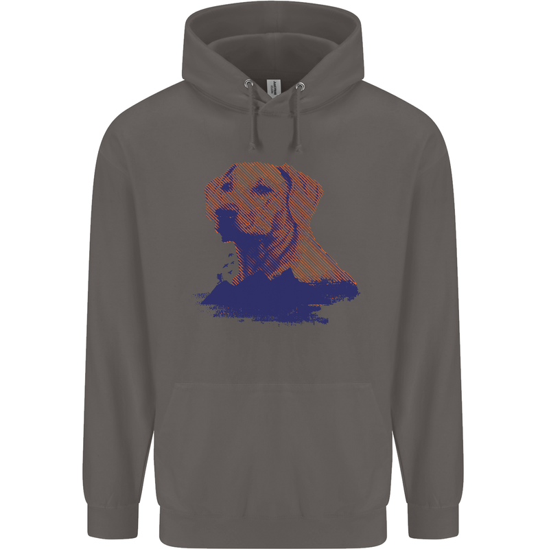 Golden Retriever Mountains Mens 80% Cotton Hoodie Charcoal