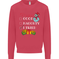 Good Naughty I Tried Funny Christmas Xmas Kids Sweatshirt Jumper Heliconia