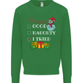 Good Naughty I Tried Funny Christmas Xmas Kids Sweatshirt Jumper Irish Green