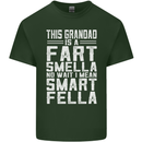 Grandad Is a Fart Smella Funny Fathers Day Mens Cotton T-Shirt Tee Top Forest Green