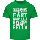 Grandad Is a Fart Smella Funny Fathers Day Mens Cotton T-Shirt Tee Top Irish Green