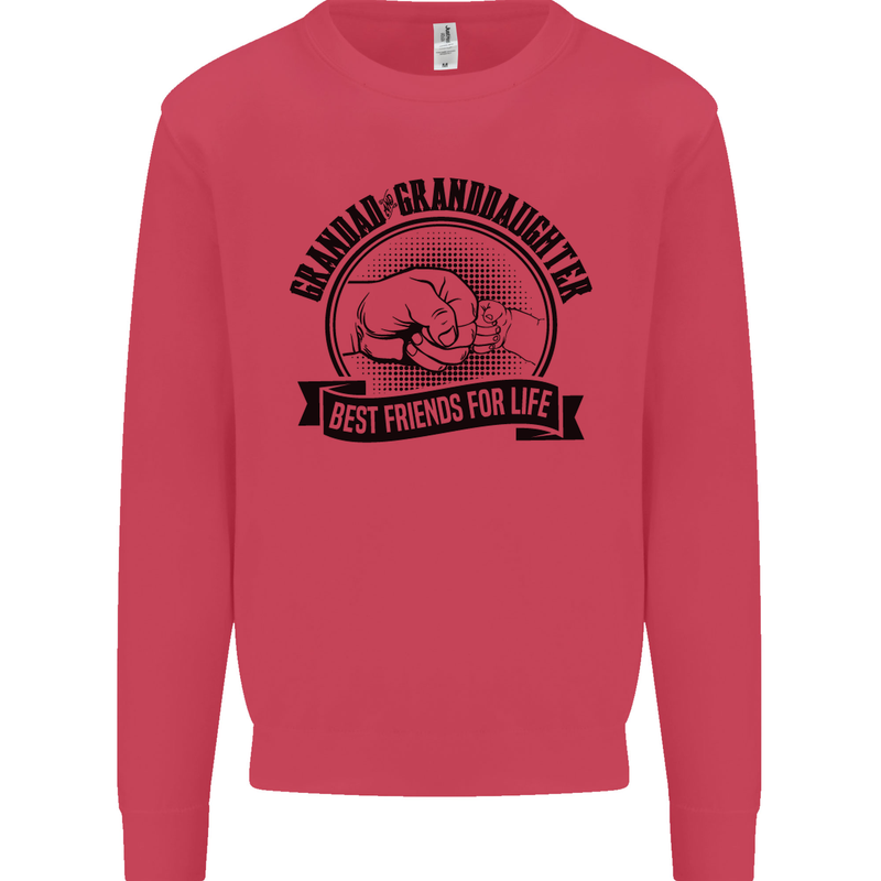 Grandad & Granddaughter Grandparent's Day Mens Sweatshirt Jumper Heliconia
