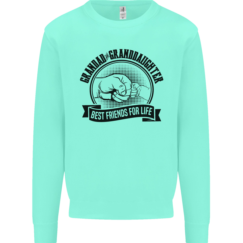Grandad & Granddaughter Grandparent's Day Mens Sweatshirt Jumper Peppermint