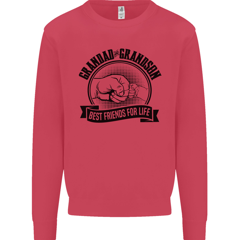 Grandad & Grandson Grandparent's Day Kids Sweatshirt Jumper Heliconia