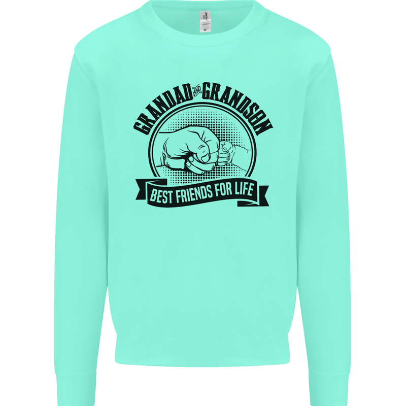 Grandad & Grandson Grandparent's Day Kids Sweatshirt Jumper Peppermint