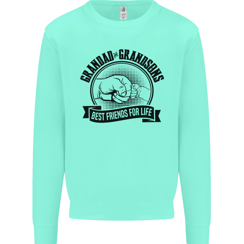 Grandad & Grandsons Grandparent's Day Mens Sweatshirt Jumper Peppermint
