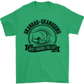 Grandad & Grandsons Grandparent's Day Mens T-Shirt Cotton Gildan Irish Green