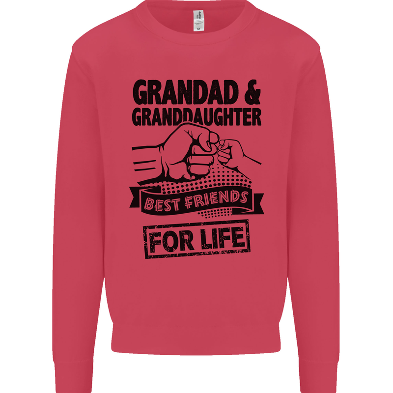 Grandad and Granddaughter Grandparent's Day Kids Sweatshirt Jumper Heliconia