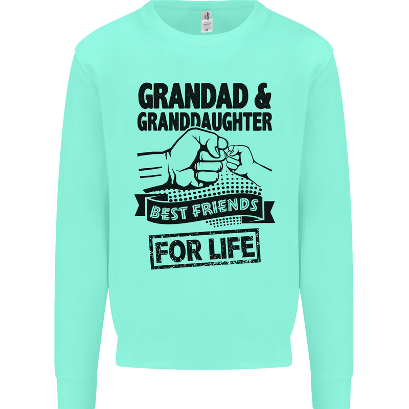 Grandad and Granddaughter Grandparent's Day Kids Sweatshirt Jumper Peppermint