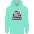 Grandpa Grandpasaurus Grandparent's Day Mens 80% Cotton Hoodie Peppermint