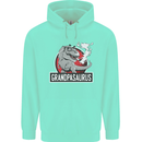 Grandpa Grandpasaurus Grandparent's Day Mens 80% Cotton Hoodie Peppermint