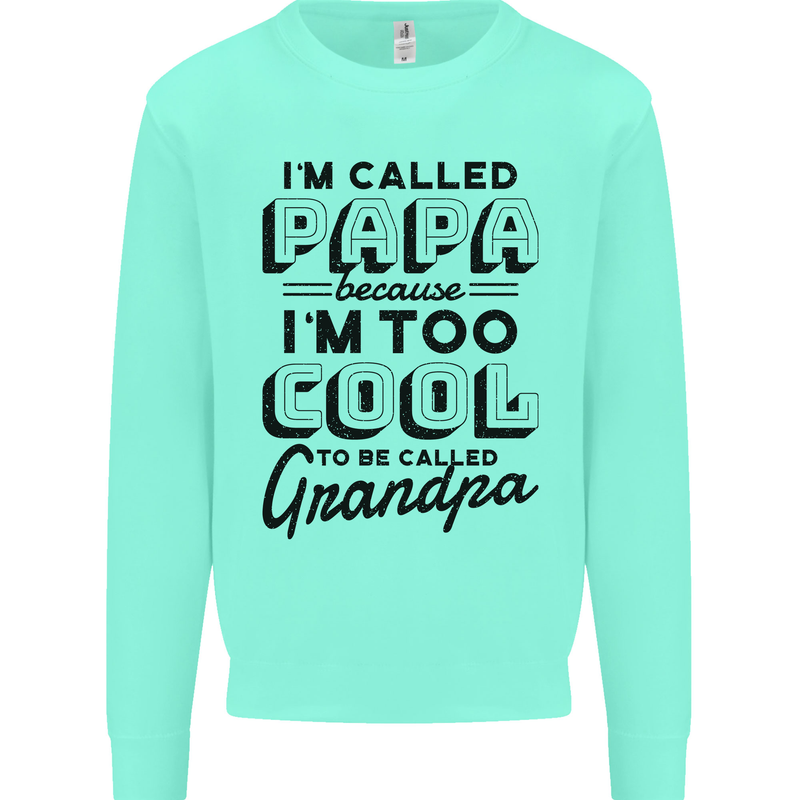 Grandparents Day Im Called Papa Kids Sweatshirt Jumper Peppermint