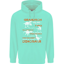 Grandson You Are My Favourite Dinosaur Mens 80% Cotton Hoodie Peppermint