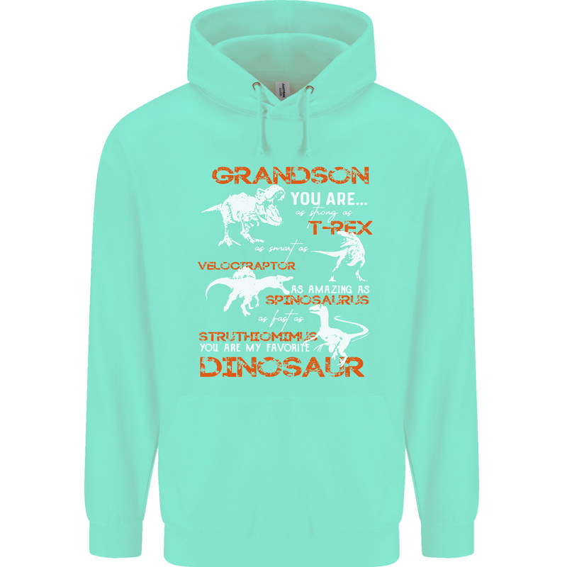 Grandson You Are My Favourite Dinosaur Mens 80% Cotton Hoodie Peppermint