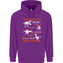 Grandson You Are My Favourite Dinosaur Mens 80% Cotton Hoodie Purple
