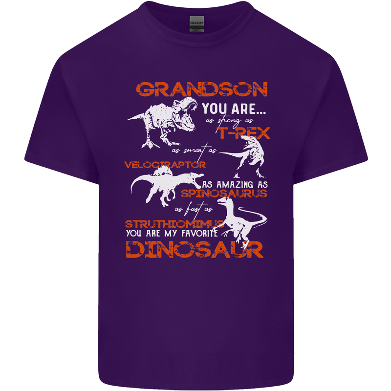 Grandson You Are My Favourite Dinosaur Mens Cotton T-Shirt Tee Top Purple