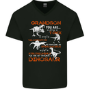Grandson You Are My Favourite Dinosaur Mens V-Neck Cotton T-Shirt Black