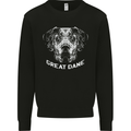 Great Dane Dog Kids Sweatshirt Jumper Black