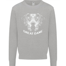 Great Dane Dog Kids Sweatshirt Jumper Sports Grey