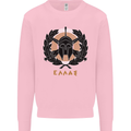 Greek Helmet Gym Training Top Spartan MMA Mens Sweatshirt Jumper Light Pink