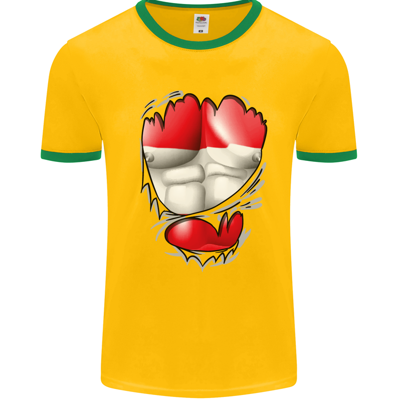 Gym The Austrian Flag Ripped Muscles Austia Mens White Ringer T-Shirt Gold/Green