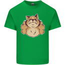 Grumpy Cat Finger Flip Offensive Funny Kids T-Shirt Childrens Irish Green