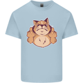 Grumpy Cat Finger Flip Offensive Funny Kids T-Shirt Childrens Light Blue