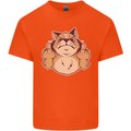 Grumpy Cat Finger Flip Offensive Funny Kids T-Shirt Childrens Orange