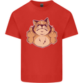 Grumpy Cat Finger Flip Offensive Funny Kids T-Shirt Childrens Red